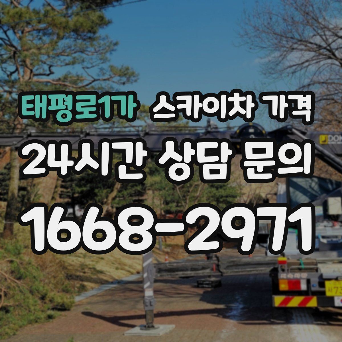 태평로1가 스카이차 가격 보행자 많은 구간은 왜 통제가 중요할까