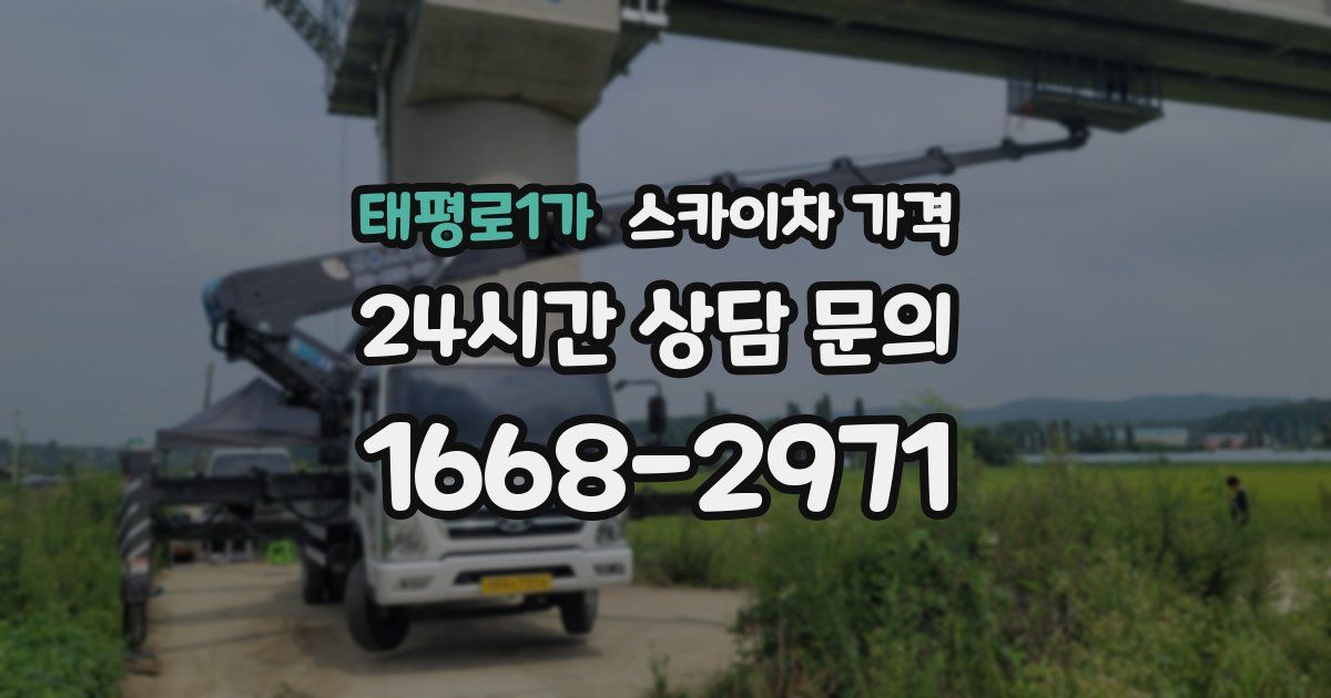 태평로1가 스카이차 가격