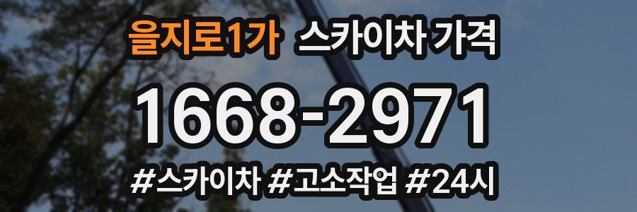 을지로1가 스카이차 가격
