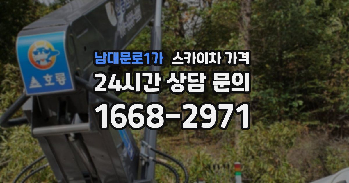 남대문로1가 스카이차 가격