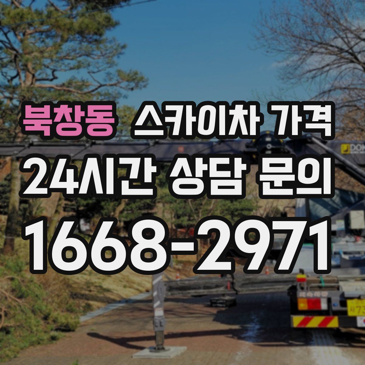 북창동 스카이차 가격