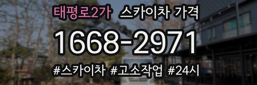 태평로2가 스카이차 가격