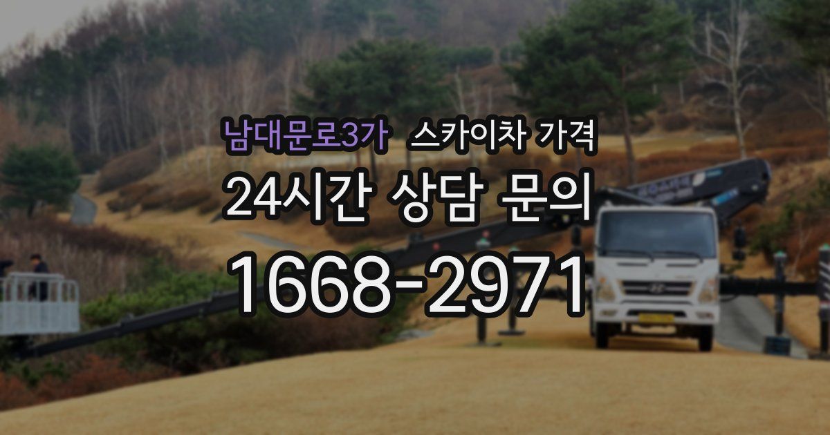 남대문로3가 스카이차 가격