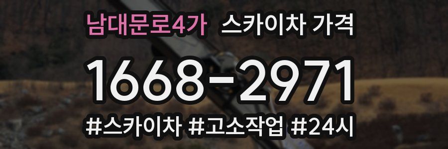 남대문로4가 스카이차 가격