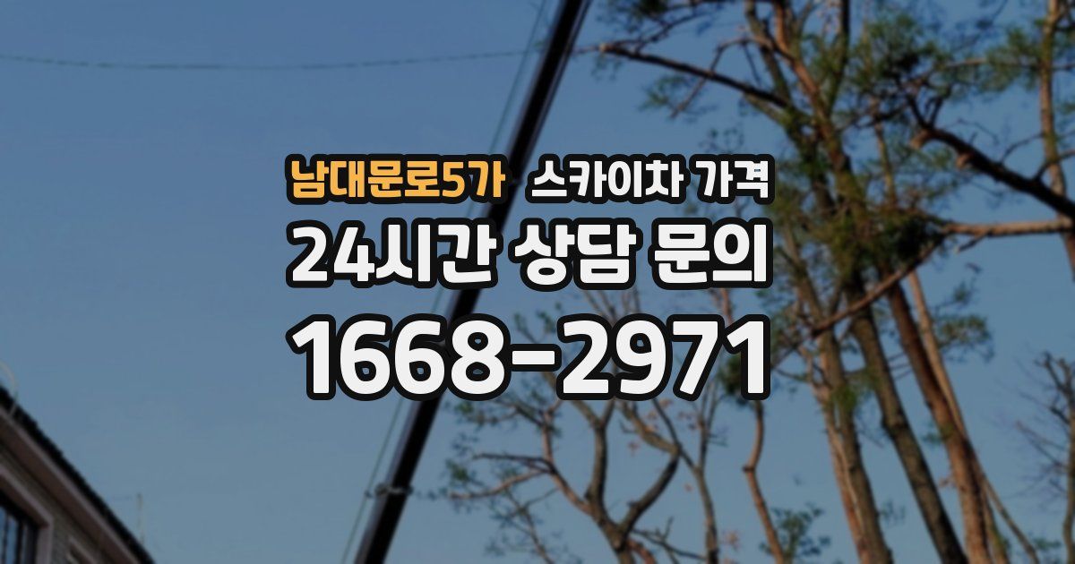 남대문로5가 스카이차 가격