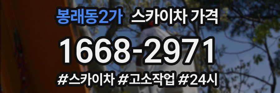 봉래동2가 스카이차 가격