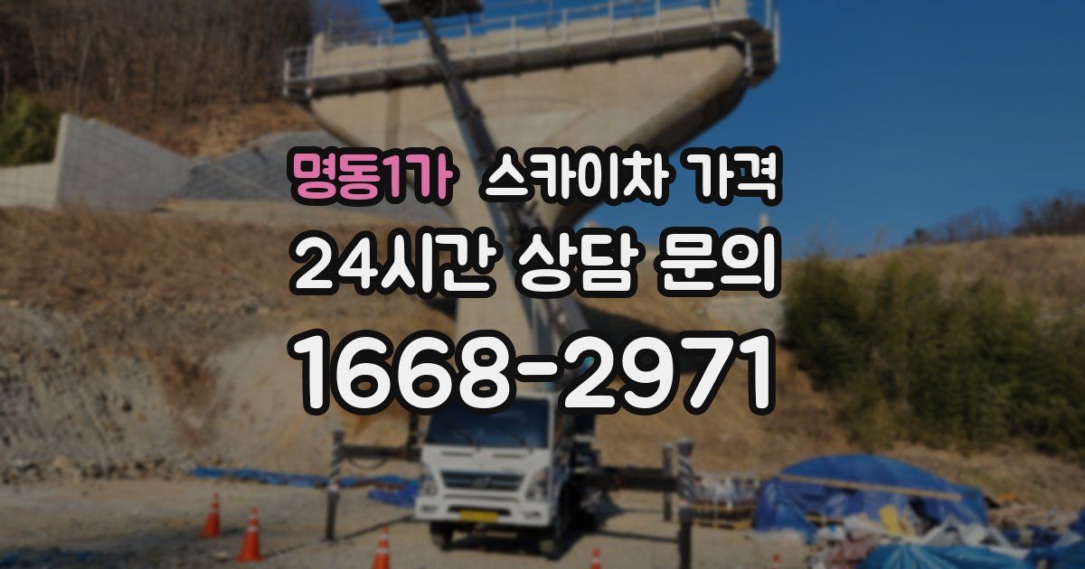 명동1가 스카이차 가격