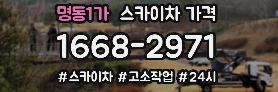 명동1가 스카이차 가격