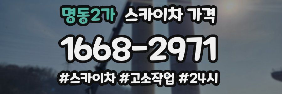 명동2가 스카이차 가격