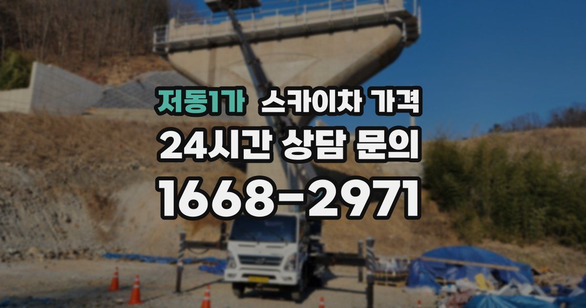 저동1가 스카이차 가격