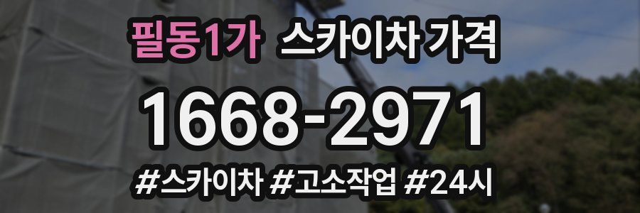 필동1가 스카이차 가격