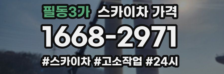 필동3가 스카이차 가격