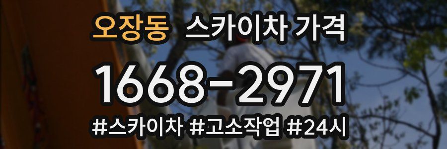 오장동 스카이차 가격