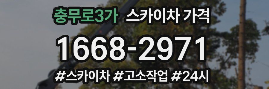 충무로3가 스카이차 가격