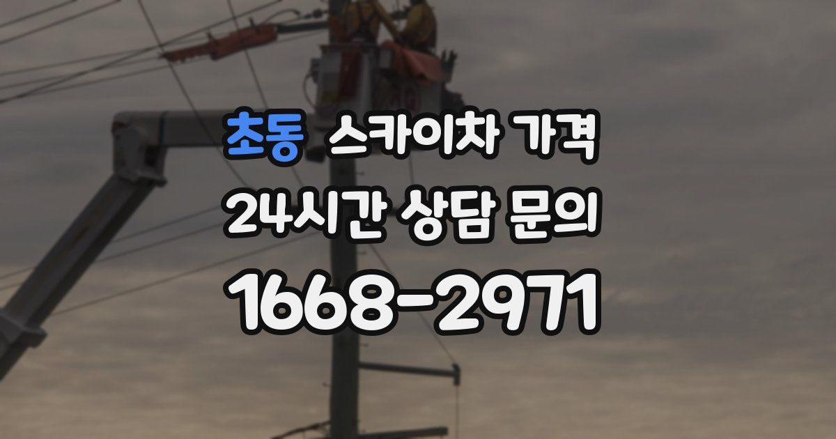 초동 스카이차 가격