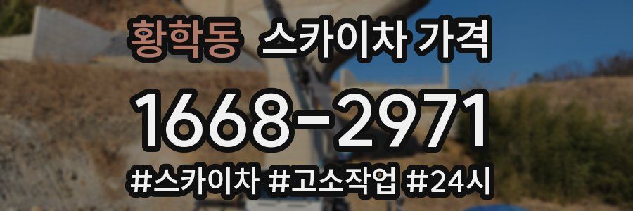 황학동 스카이차 가격