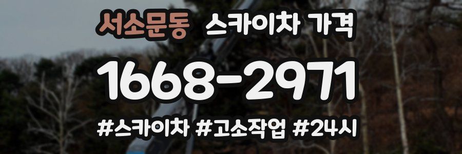 서소문동 스카이차 가격