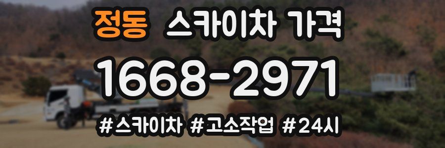 정동 스카이차 가격