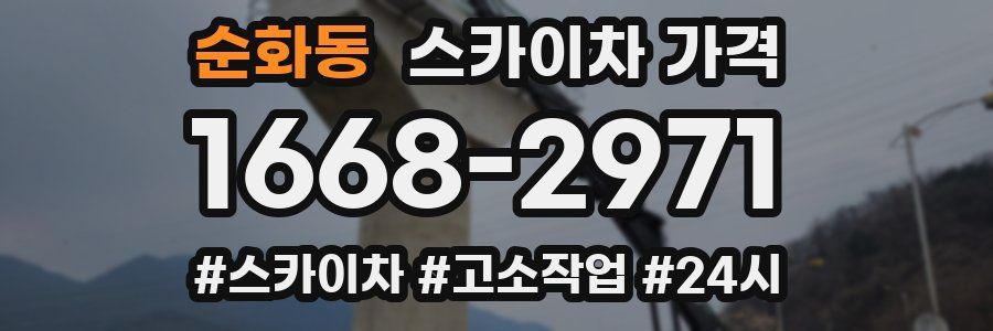 순화동 스카이차 가격