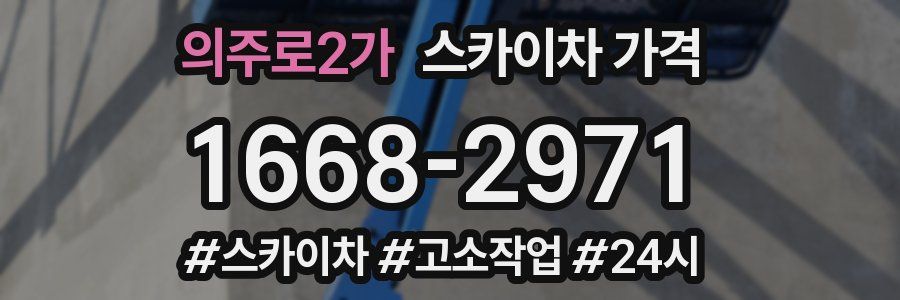 의주로2가 스카이차 가격