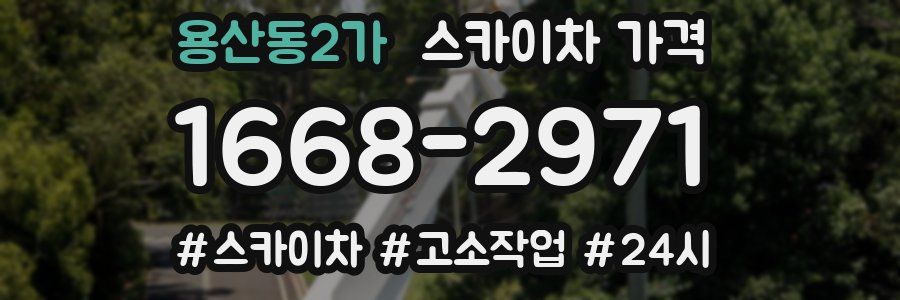 용산동2가 스카이차 가격