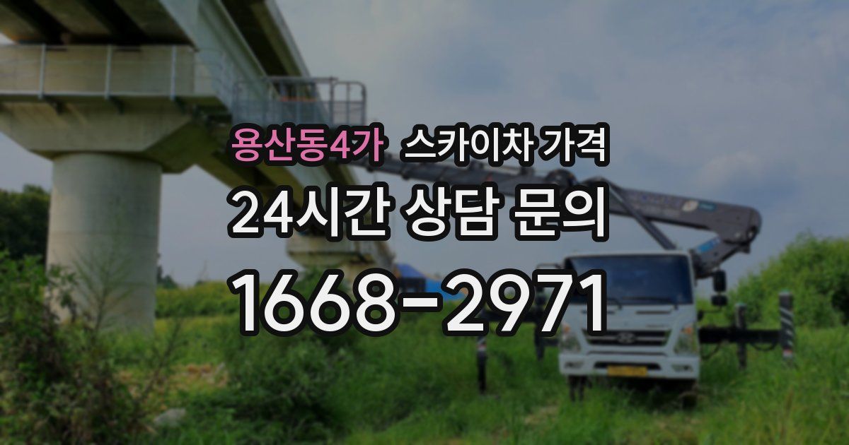 용산동4가 스카이차 가격