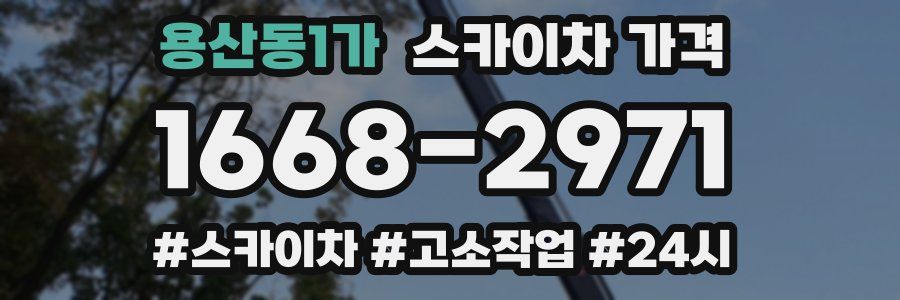 용산동1가 스카이차 가격