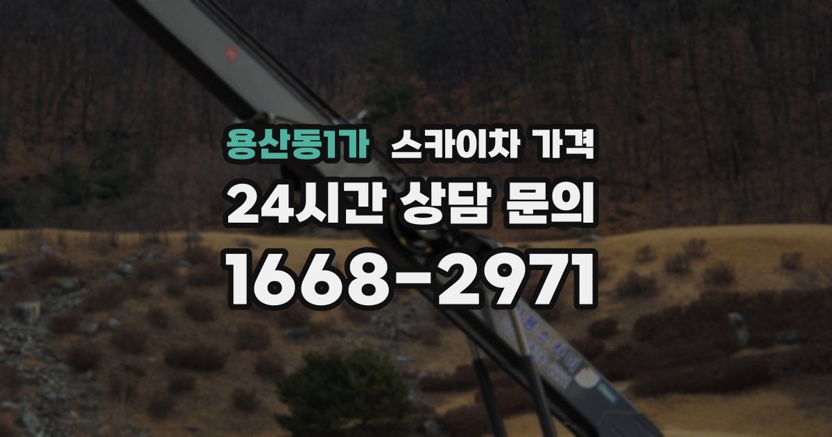 용산동1가 스카이차 가격