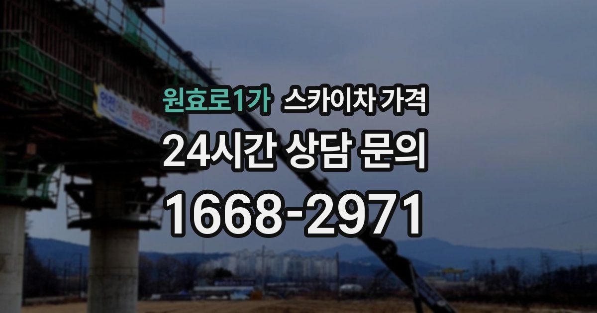원효로1가 스카이차 가격