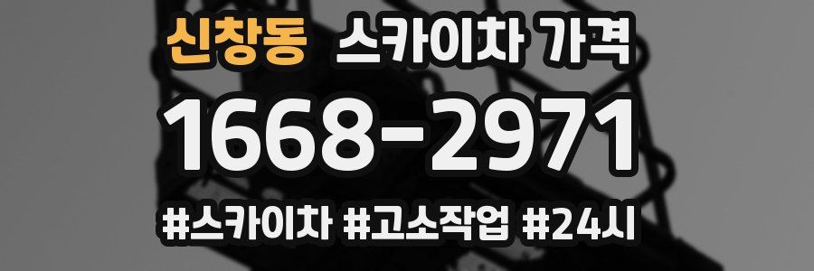 신창동 스카이차 가격