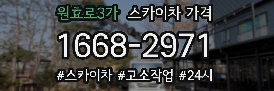 원효로3가 스카이차 가격