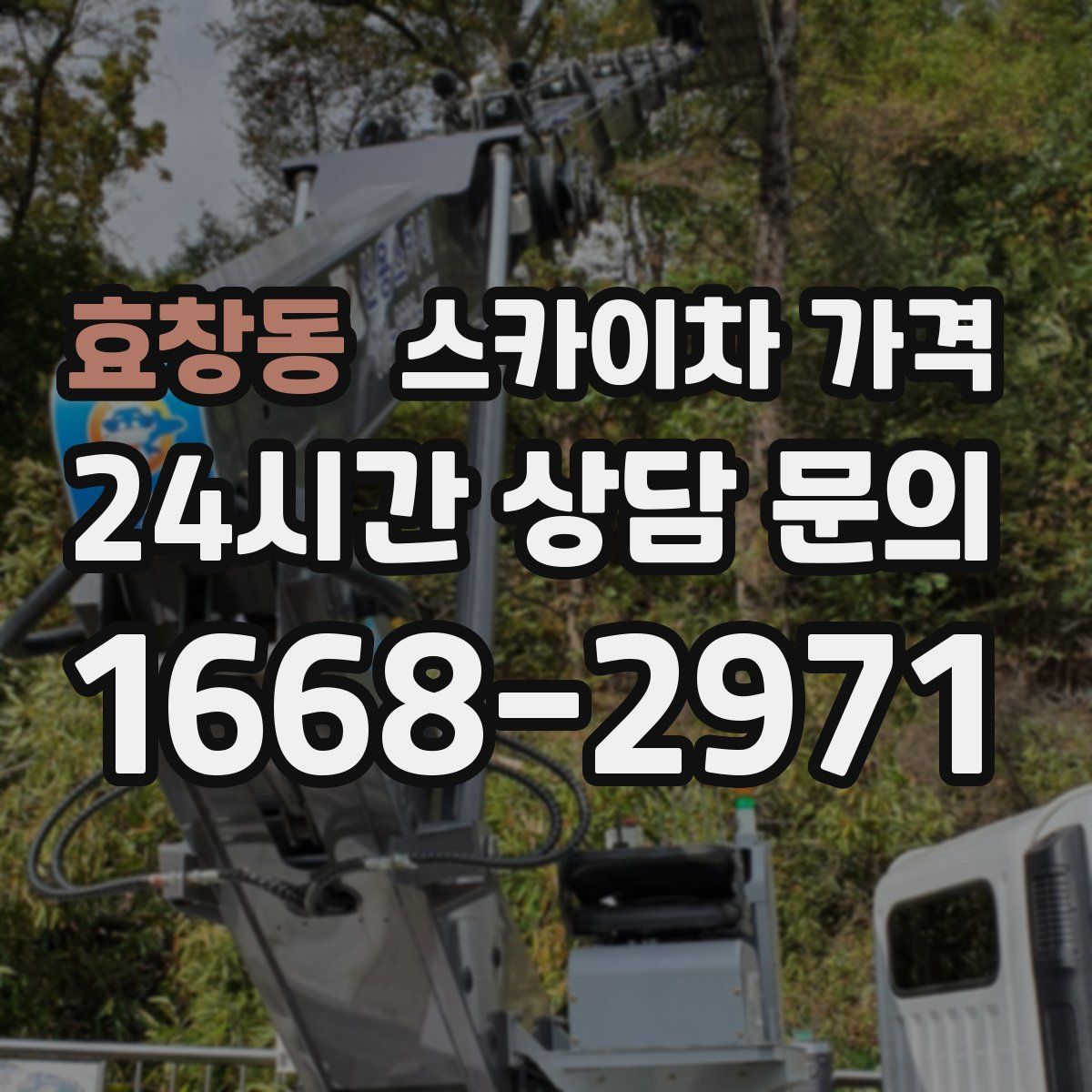 효창동 스카이차 가격