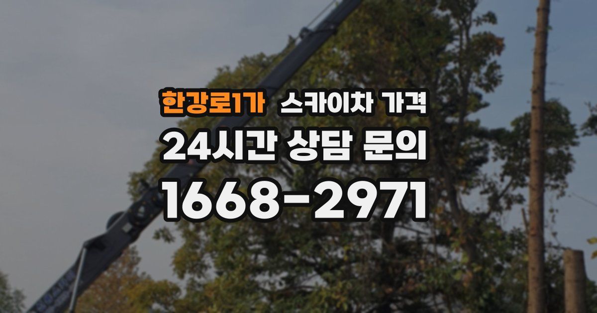 한강로1가 스카이차 가격