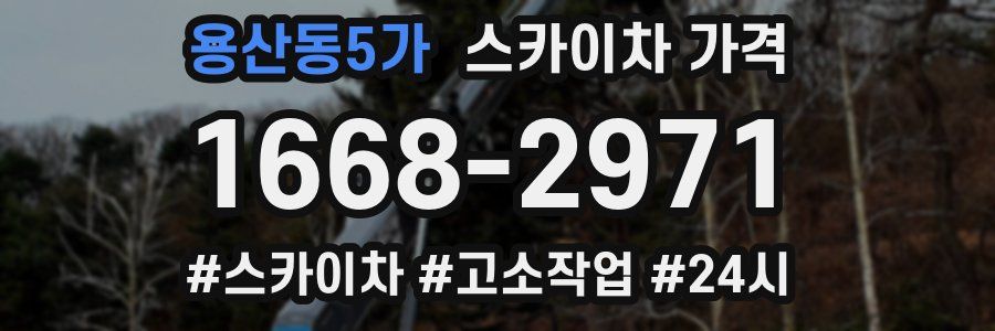 용산동5가 스카이차 가격