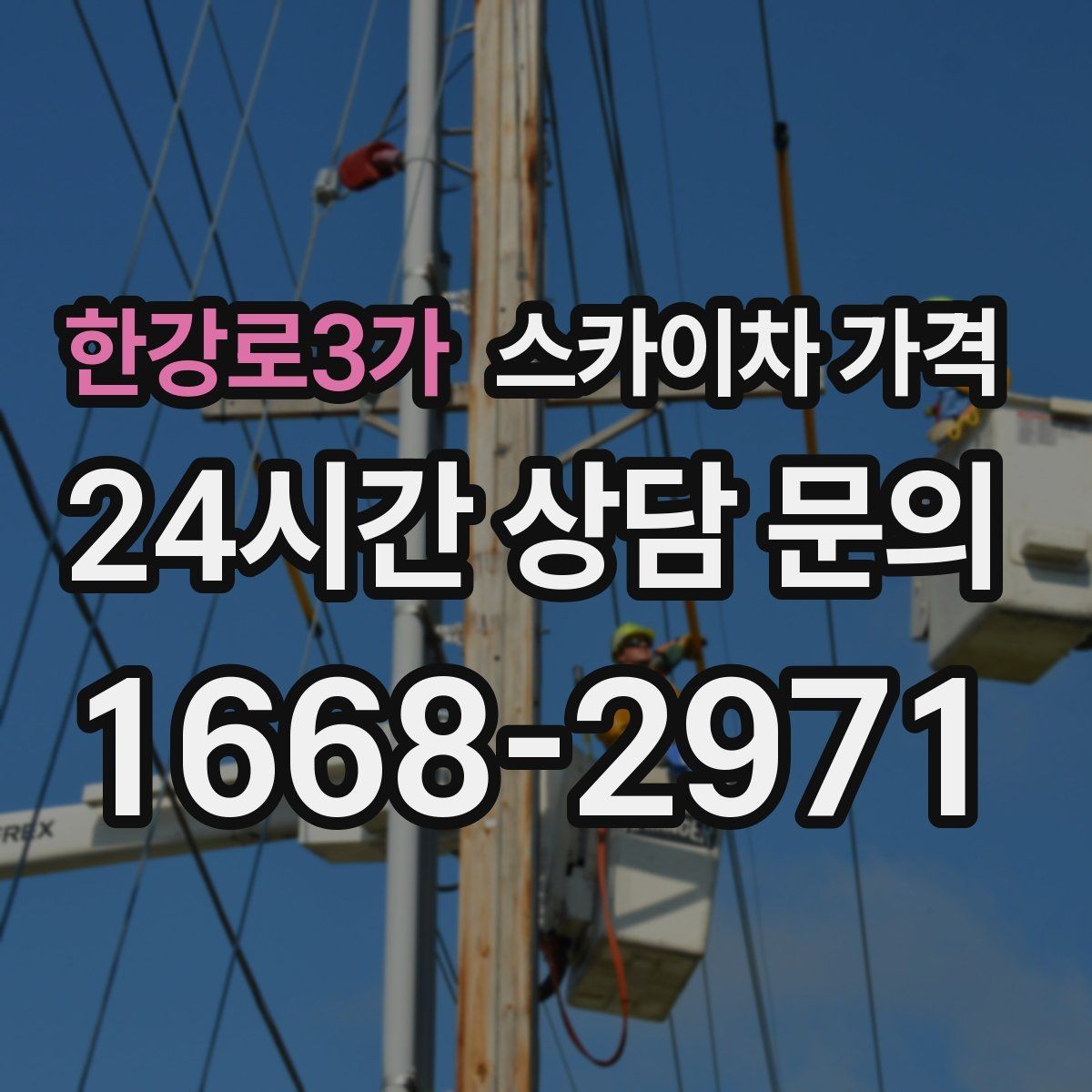 한강로3가 스카이차 가격 가로수·간판·전선이 동선을 막을 때