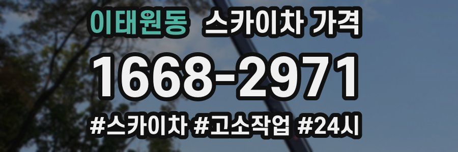 이태원동 스카이차 가격