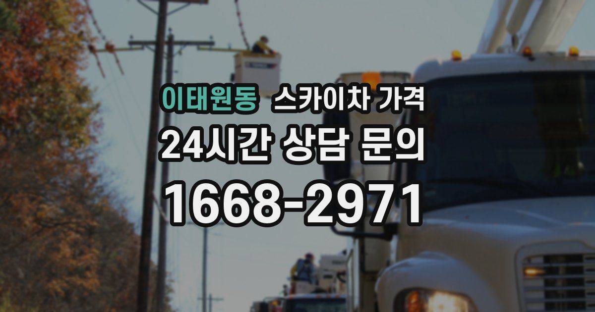 이태원동 스카이차 가격