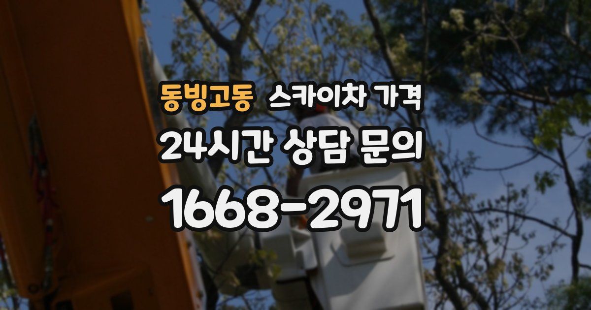 동빙고동 스카이차 가격