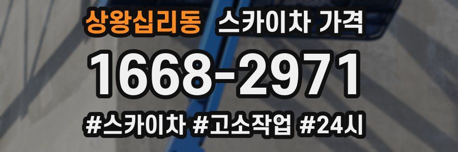 상왕십리동 스카이차 가격