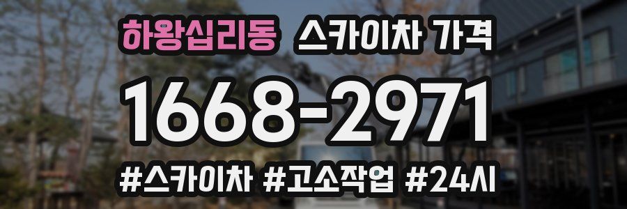 하왕십리동 스카이차 가격