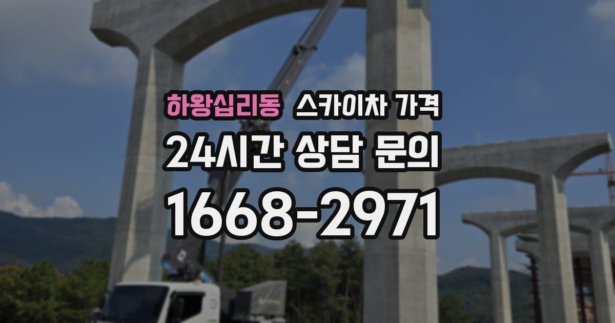 하왕십리동 스카이차 가격