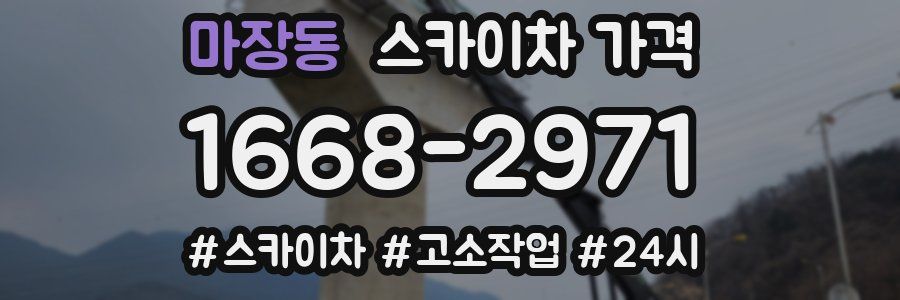 마장동 스카이차 가격
