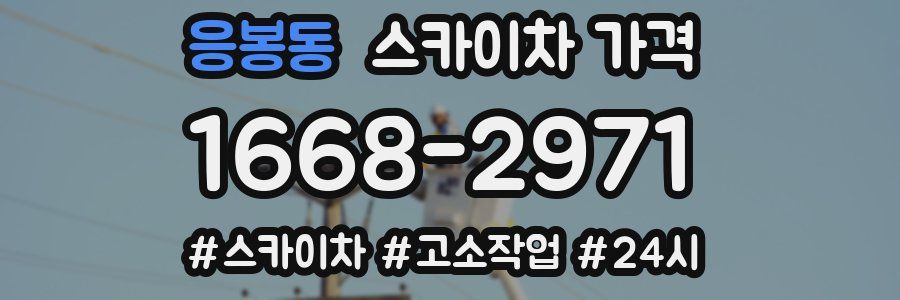 응봉동 스카이차 가격