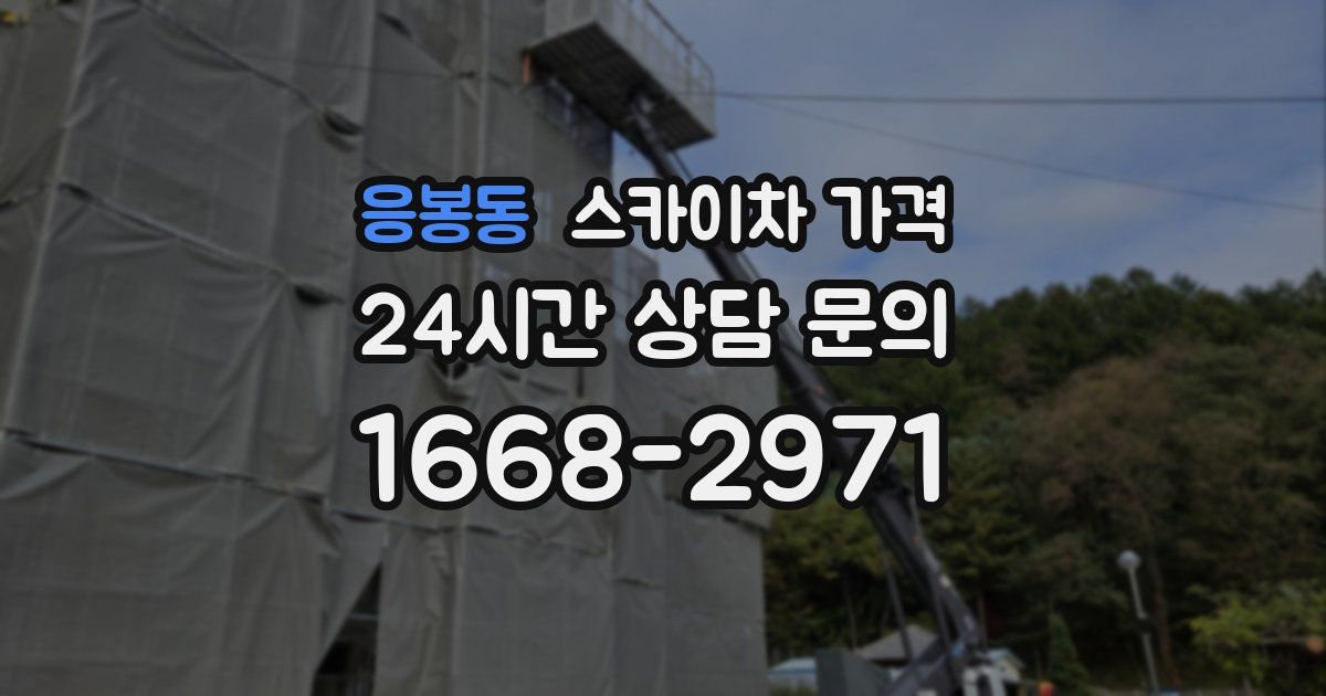 응봉동 스카이차 가격