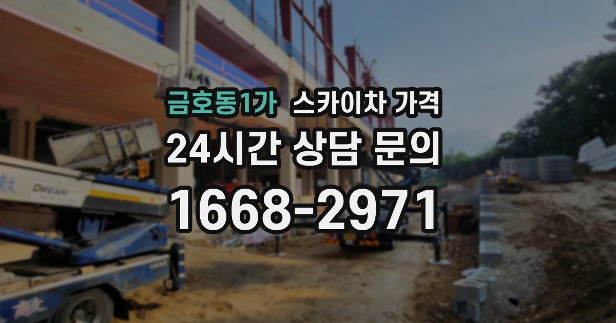 금호동1가 스카이차 가격