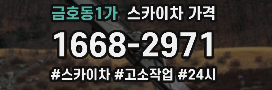 금호동1가 스카이차 가격