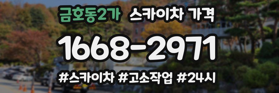 금호동2가 스카이차 가격