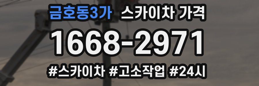 금호동3가 스카이차 가격