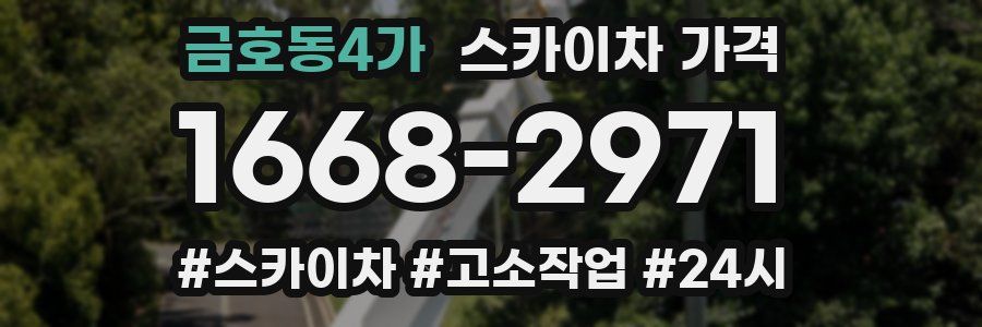 금호동4가 스카이차 가격