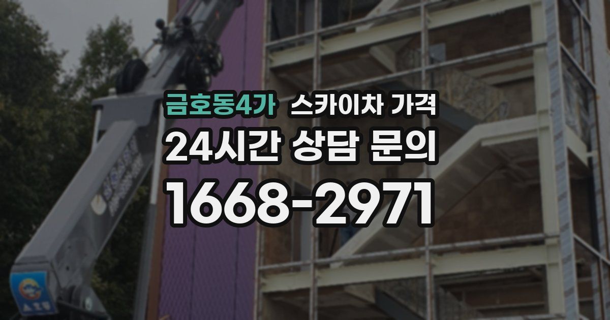 금호동4가 스카이차 가격